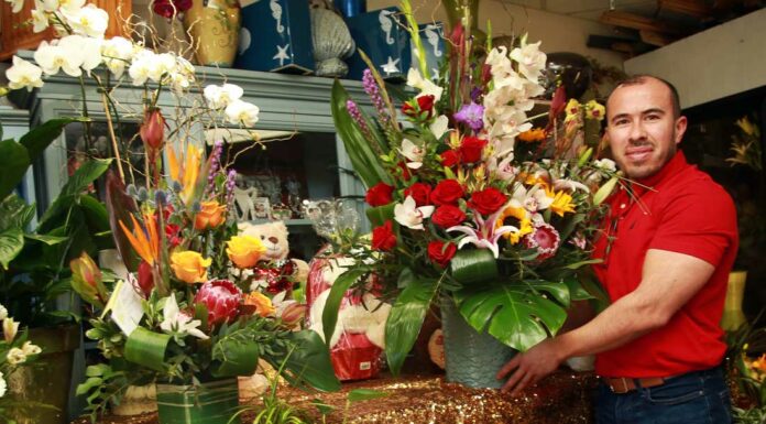 Sea of color for Valentine’s Day