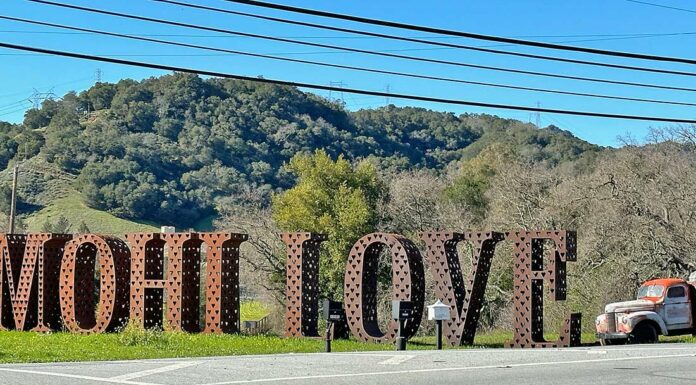 PHOTO: Morgan Hill winery spreads the love for Valentine’s Day mohi love metal sign winery sycamore creek vineyards watsonville uvas road
