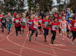 40th anniversary Wildflower Run is March 26