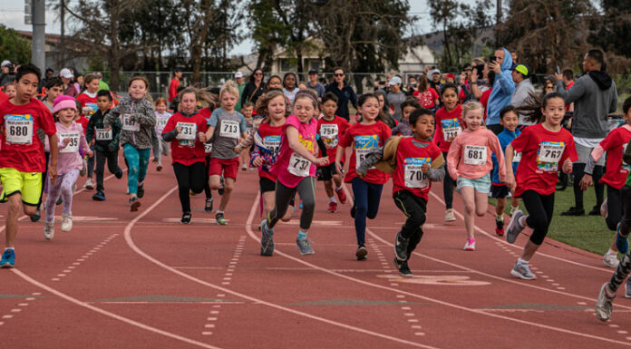 40th anniversary Wildflower Run is March 26