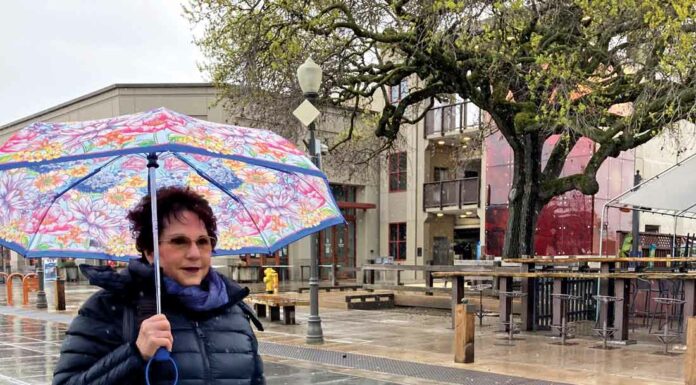 More cold, wind, rain pound Bay Area