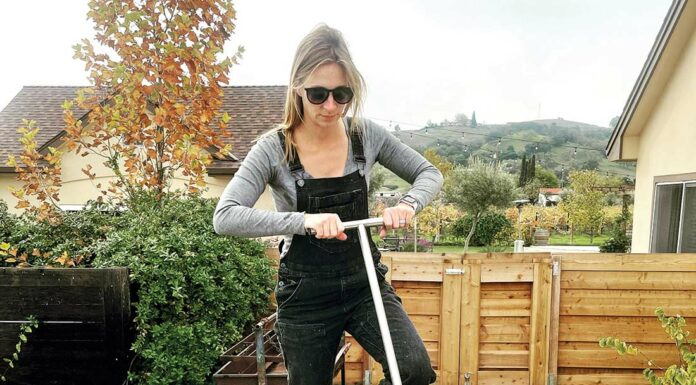 Santa Clara Valley Wine Auction set for March 25 Kim Englehardt lion ranch wineries of santa clara valley