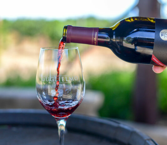 Sip, taste and support local nonprofits at SCV Wine Auction