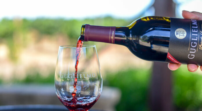 Sip, taste and support local nonprofits at SCV Wine Auction