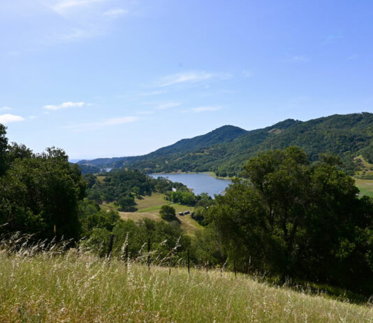 Conservationists secure ranchland for open space in Morgan Hill