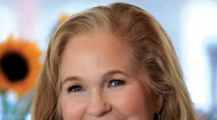 Assemblymember Gail Pellerin named head of elections committee