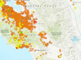 Wildfire smoke blankets Bay Area