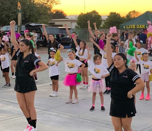 Letter: Live Oak students unite against cancer