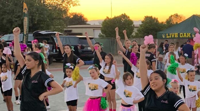 Letter: Live Oak students unite against cancer