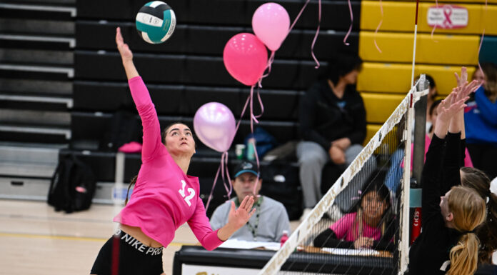Acorns girls volleyball hangs with mighty Christopher in BVAL action
