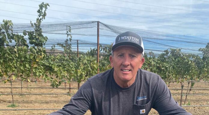 J Winston Winery celebrates first harvest off new property john bannister j winston winery