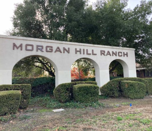 Chick-fil-A plans move forward after council OK