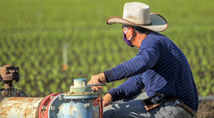 Organic growers see new role in age of climate change