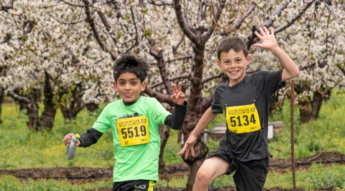 Wildflower Run brings 1,200 runners to Morgan Hill