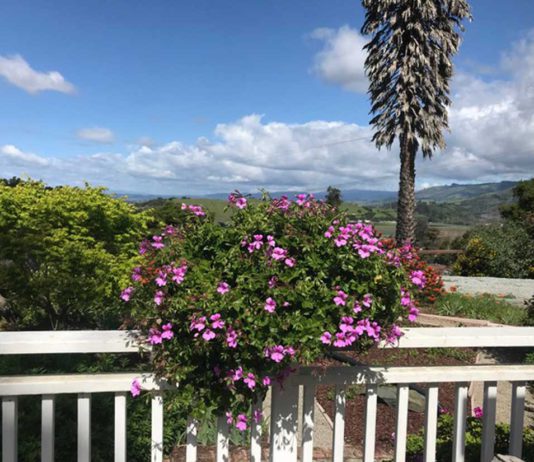 Visit Aromas for May 11 Garden Tour