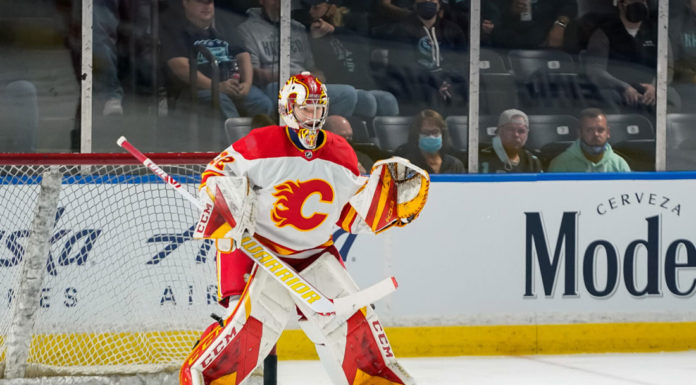 The Wolf Watch: Goalie sets Flames record