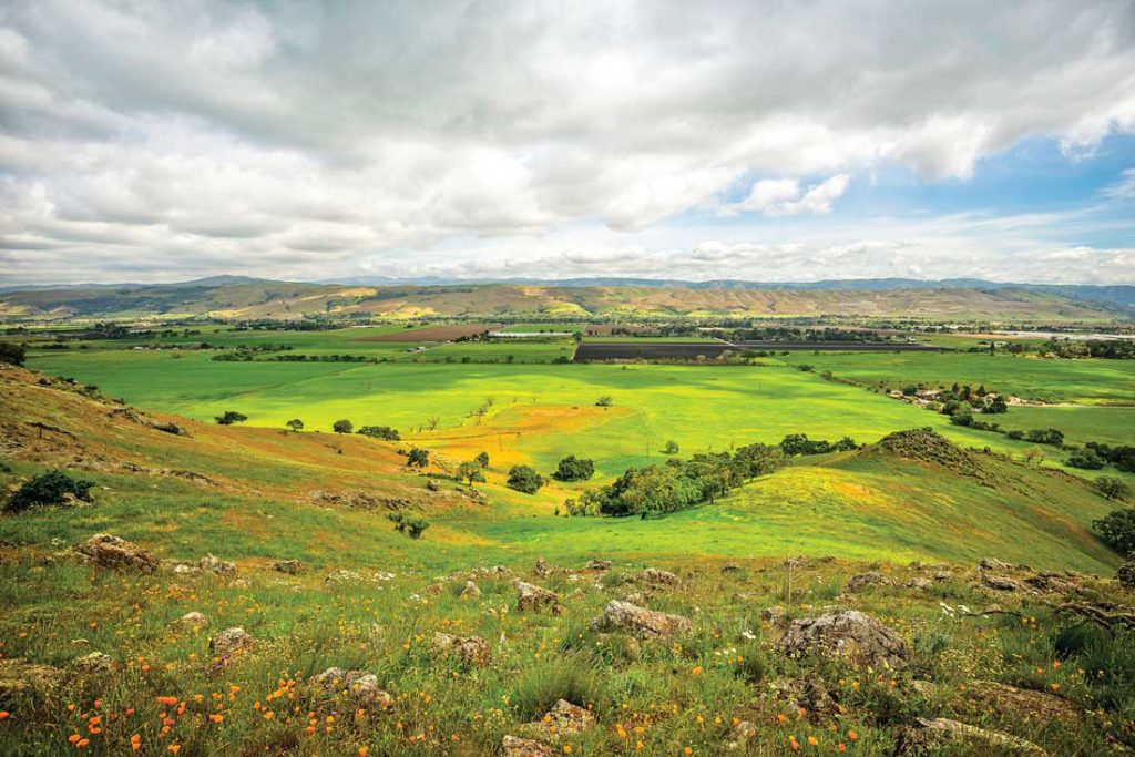 Image for display with article titled Enter Your Coyote Valley Photos in Contest