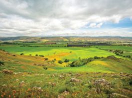 Enter your Coyote Valley photos in contest