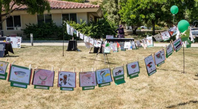 Morgan Hill exhibit seeks to raise awareness of Palestinian conflict