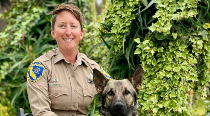 CDFW names 2023 Wildlife Officer of the Year