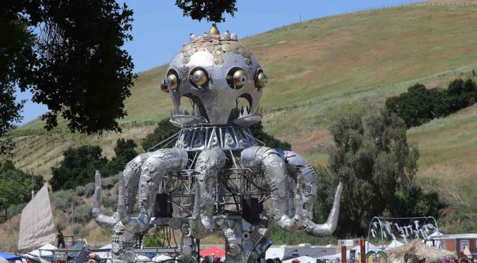 Burning Man comes to South Valley
