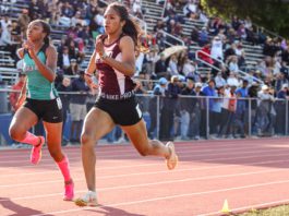 Sobrato team, Live Oak’s Christian Hauge sparkle in track and field