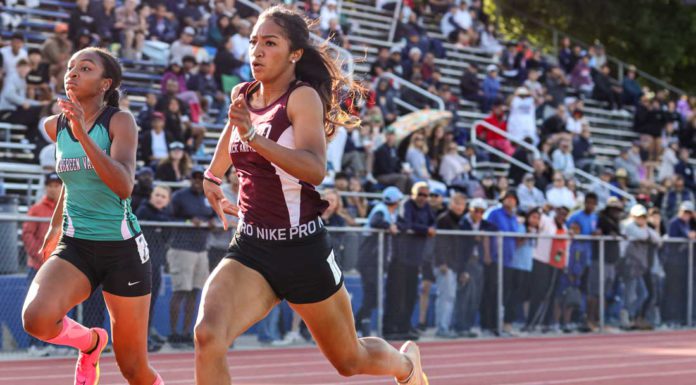 Sobrato team, Live Oak’s Christian Hauge sparkle in track and field