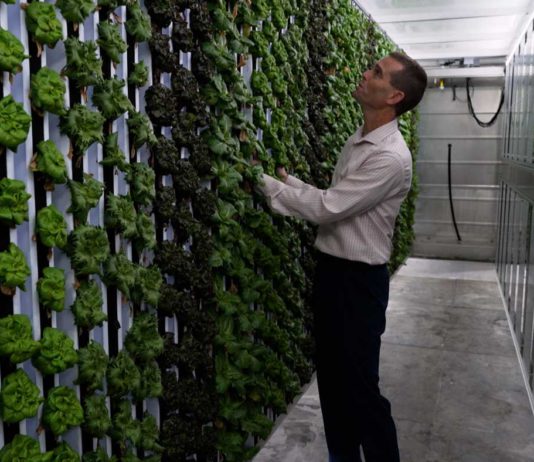 PBS series spotlights local agriculture