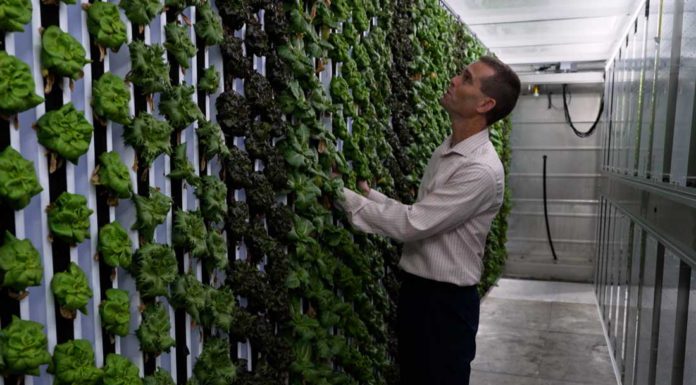 PBS series spotlights local agriculture