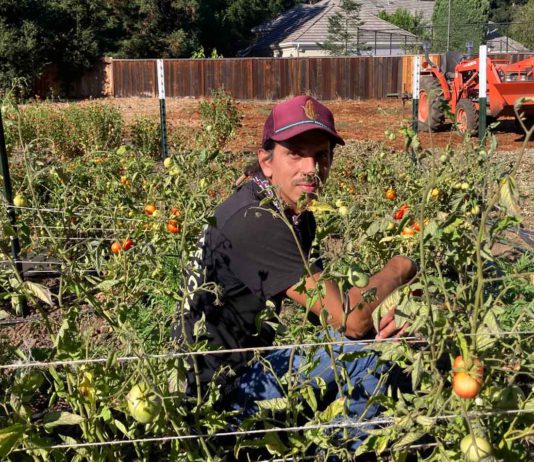 Growing community