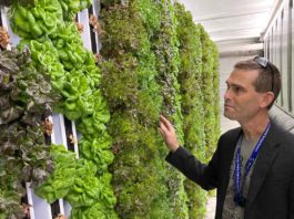 Nursery crops, mushrooms top annual Santa Clara County ag report