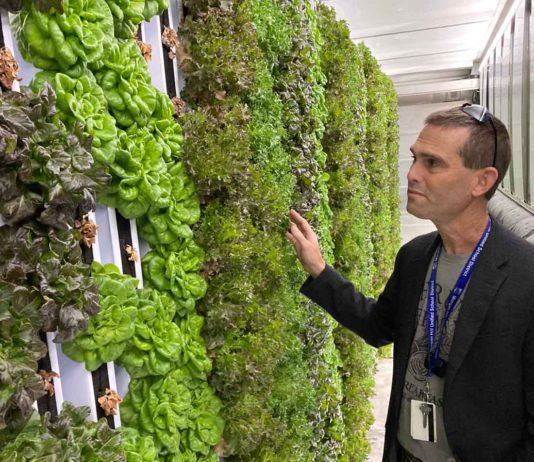 Nursery crops, mushrooms top annual Santa Clara County ag report