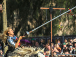 Renaissance Faire celebrates 20th anniversary