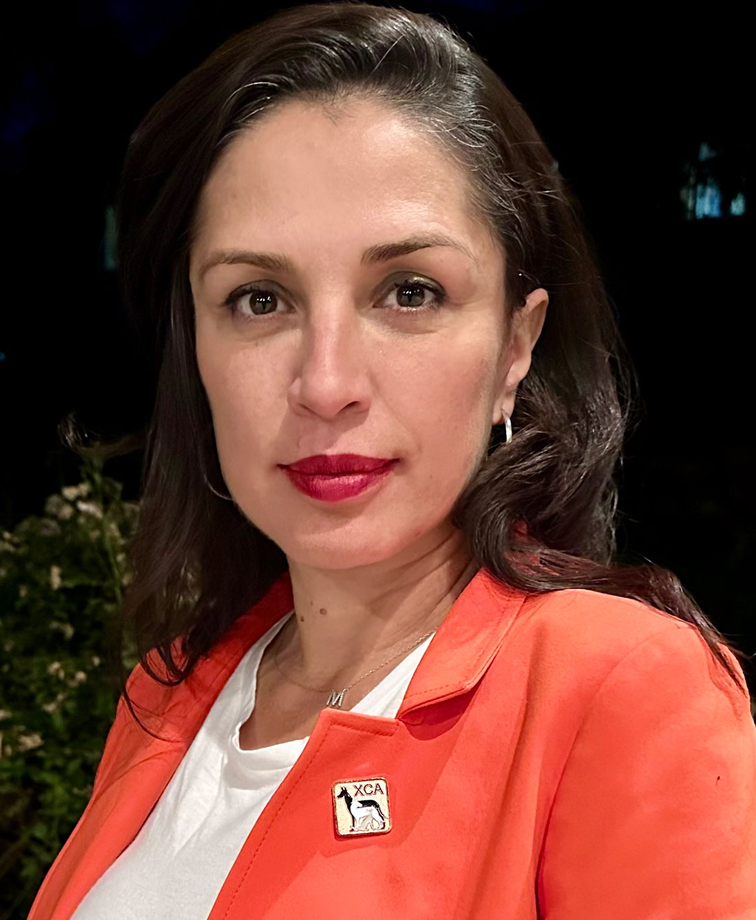 Meet the candidates: Morgan Hill City Council, District A | Morgan Hill