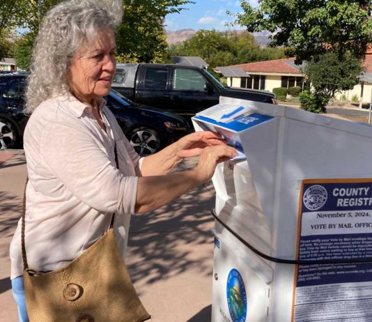 Voting centers, dropboxes are open