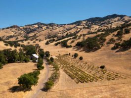 UC Santa Cruz secures 2,400-acre ranch in San Benito County
