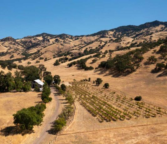 UC Santa Cruz secures 2,400-acre ranch in San Benito County