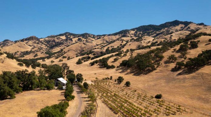 UC Santa Cruz secures 2,400-acre ranch in San Benito County