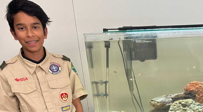 Lessons learned from Scouting