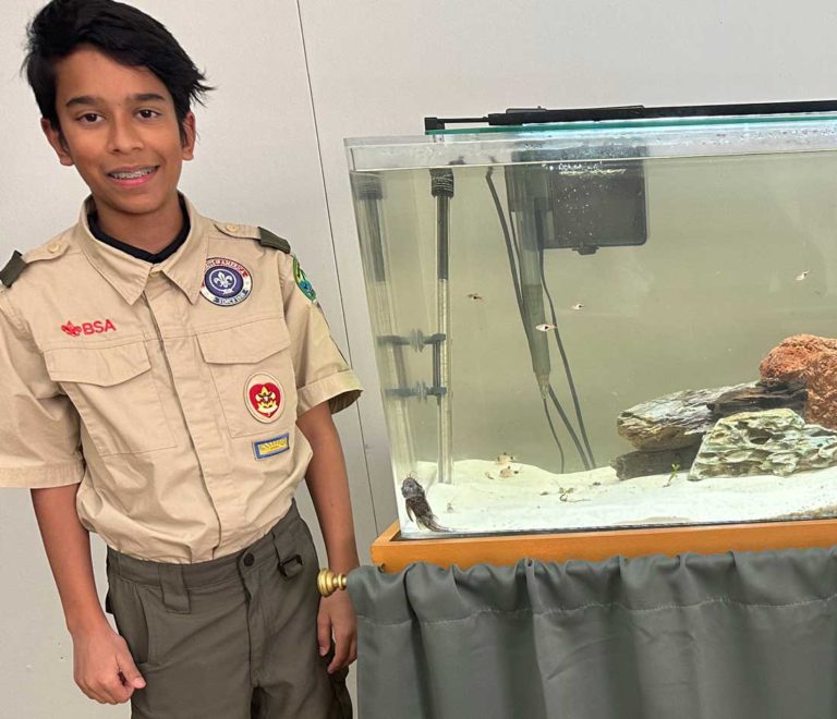 Lessons learned from Scouting