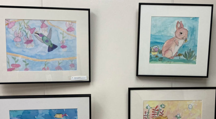Young artists shine at local exhibit