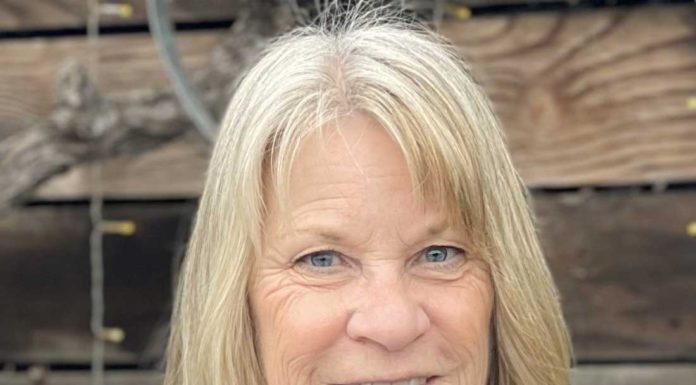 Chamber names more Celebrate awardees