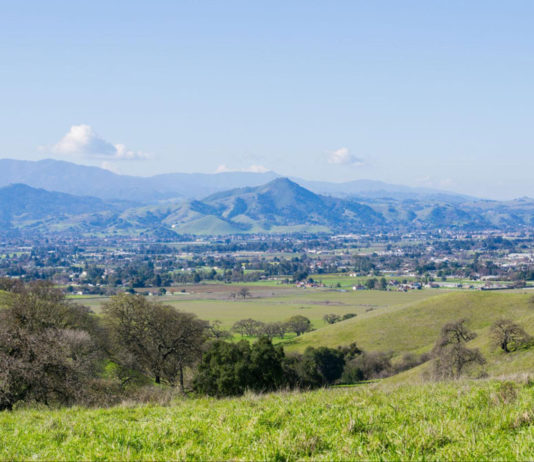 California Tribes Delay Sports Betting Push: What It Means for Morgan Hill California tribes delay sports betting push