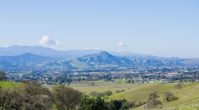 California Tribes Delay Sports Betting Push: What It Means for Morgan Hill California tribes delay sports betting push