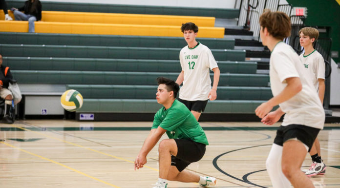 Live Oak boys volleyball rises from the depths to the heights