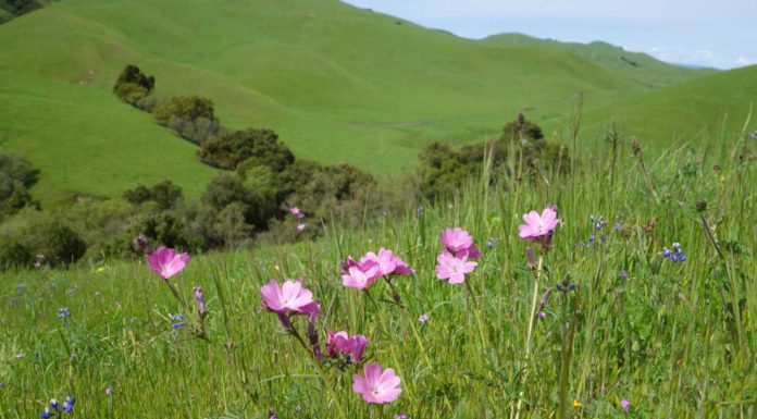 Event raises awareness of importance of Juristac