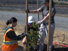 Community garden cultivates food, friendship