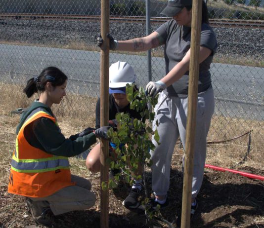 Community garden cultivates food, friendship