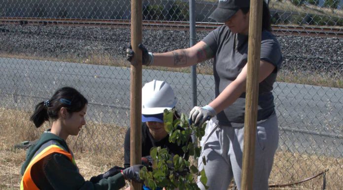 Community garden cultivates food, friendship
