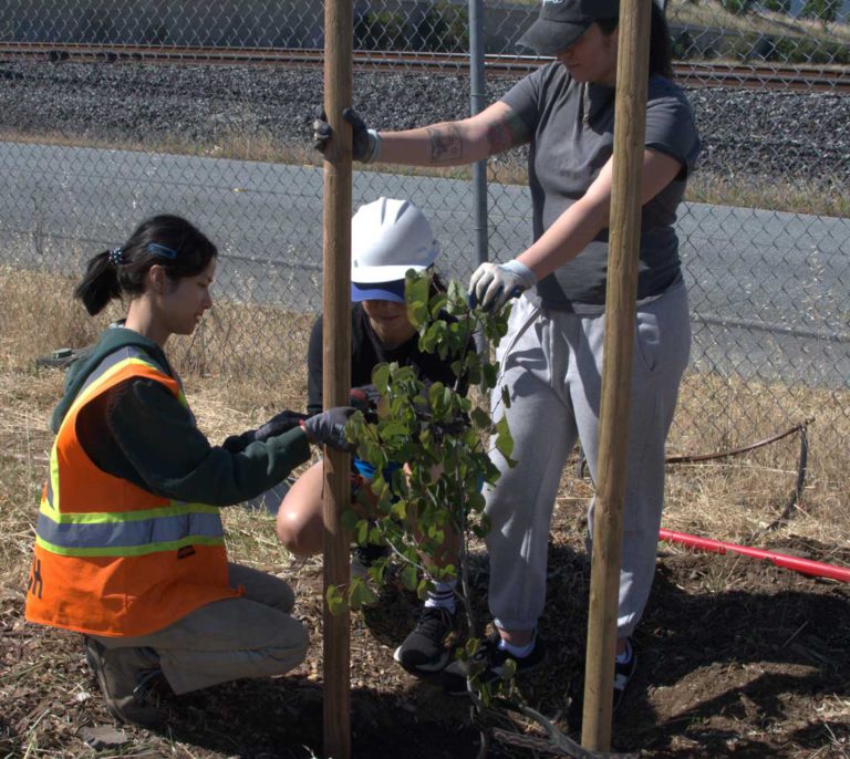Community garden cultivates food, friendship